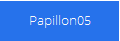Papillon05